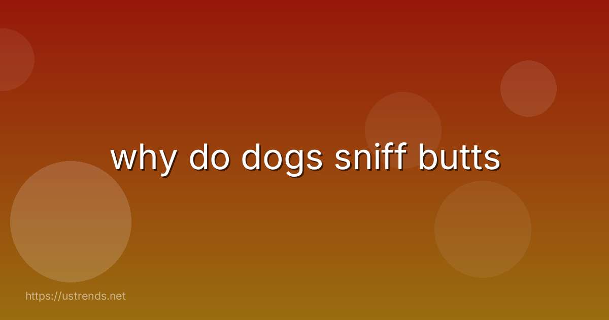 why do dogs sniff butts