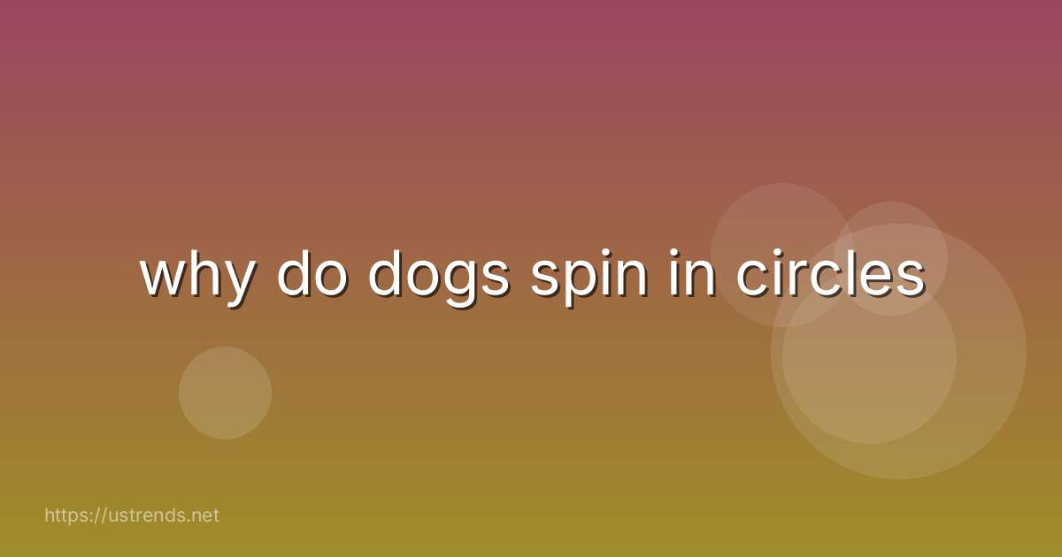 why do dogs spin in circles