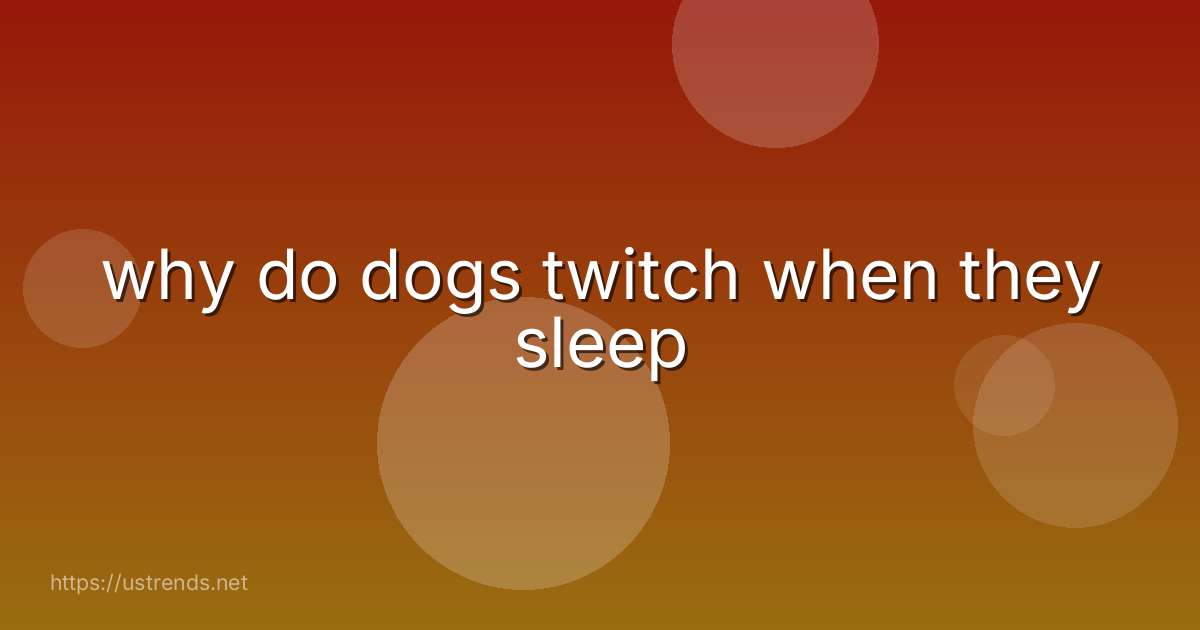 why do dogs twitch when they sleep