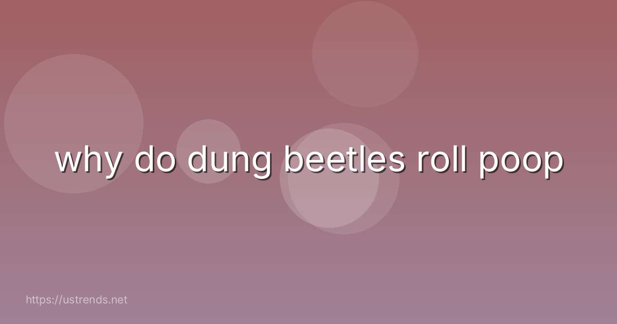 why do dung beetles roll poop