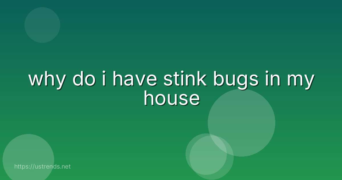 why do i have stink bugs in my house