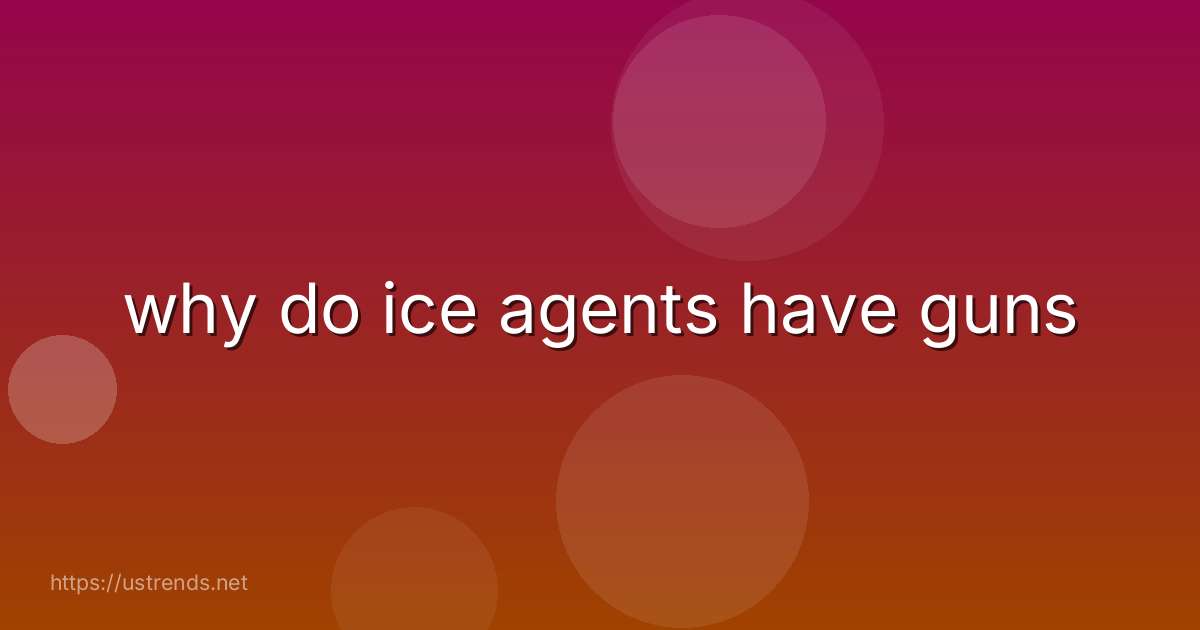 why do ice agents have guns