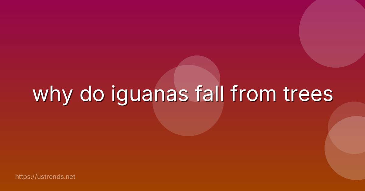 why do iguanas fall from trees