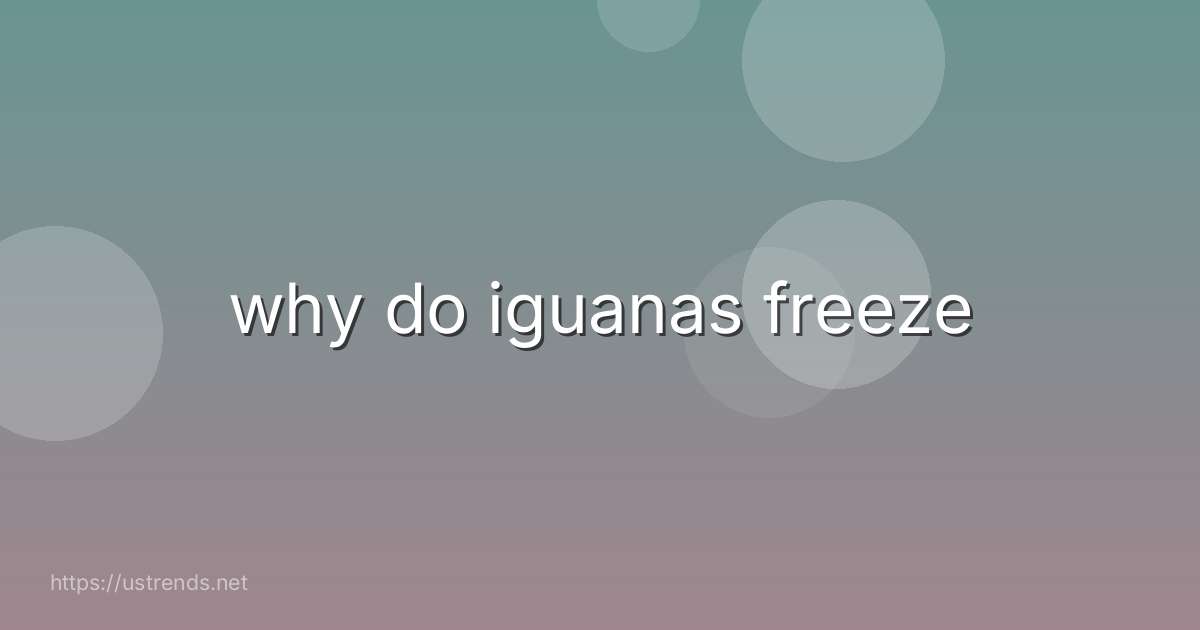 why do iguanas freeze