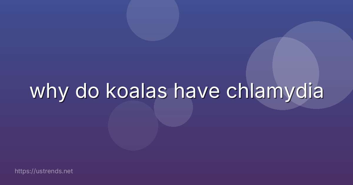 why do koalas have chlamydia
