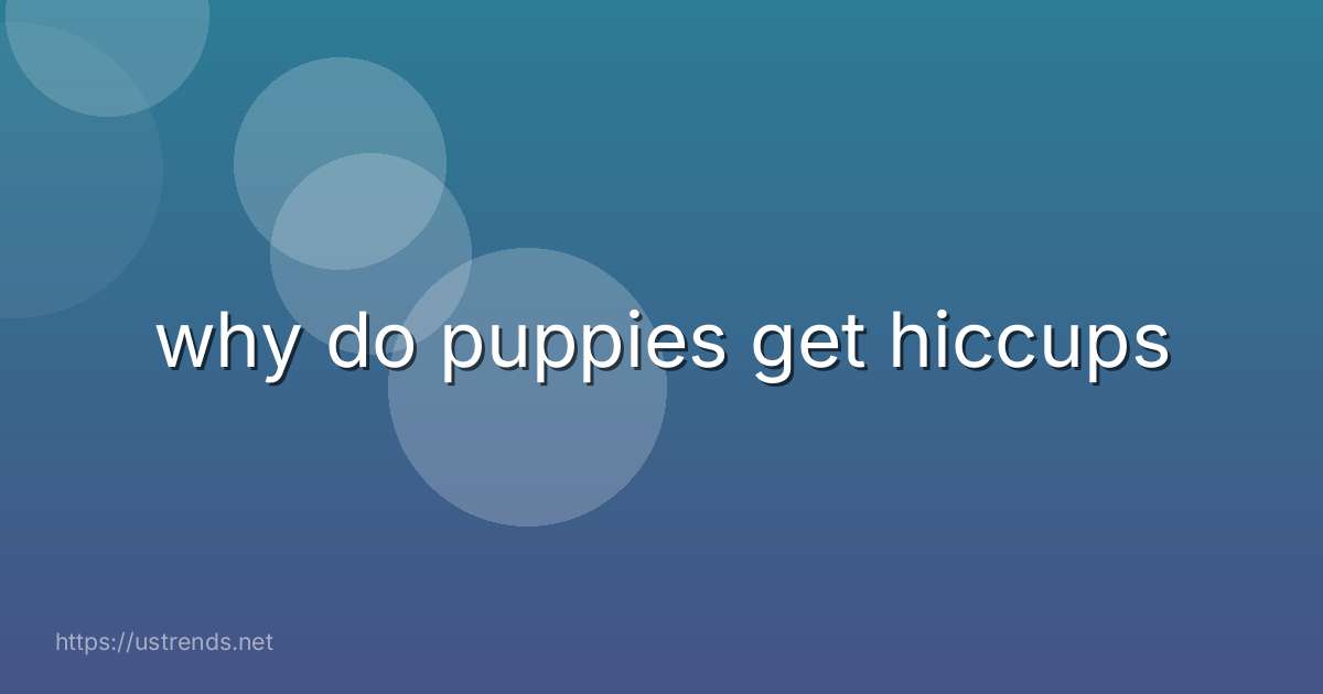 why do puppies get hiccups