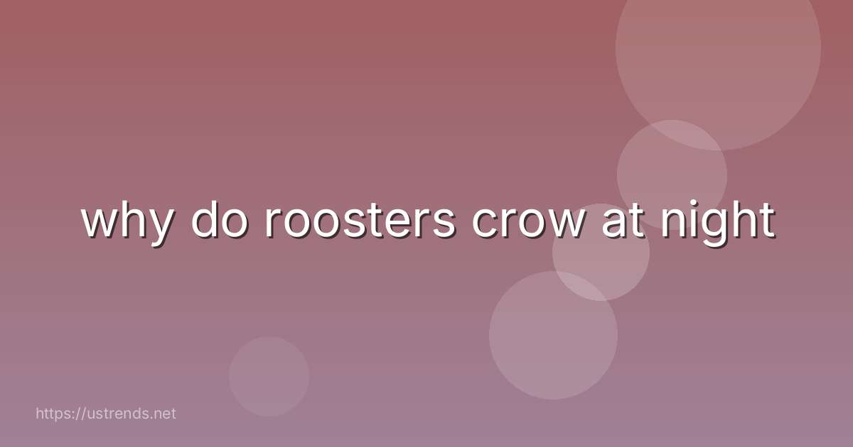 why do roosters crow at night