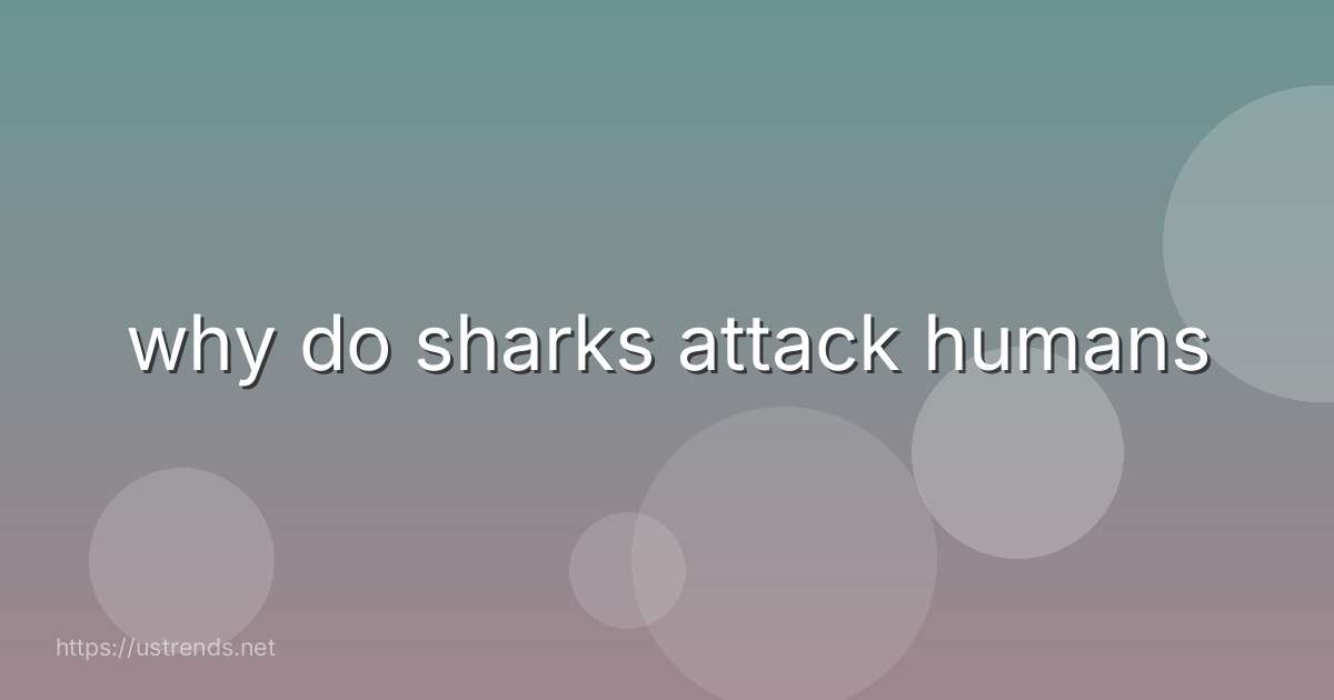 why do sharks attack humans