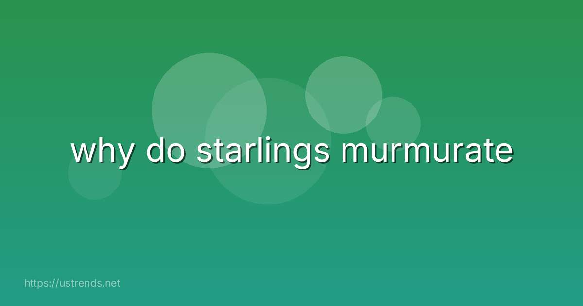 why do starlings murmurate