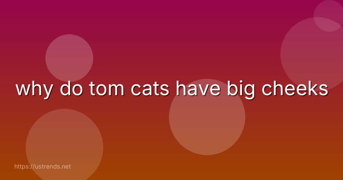 why do tom cats have big cheeks