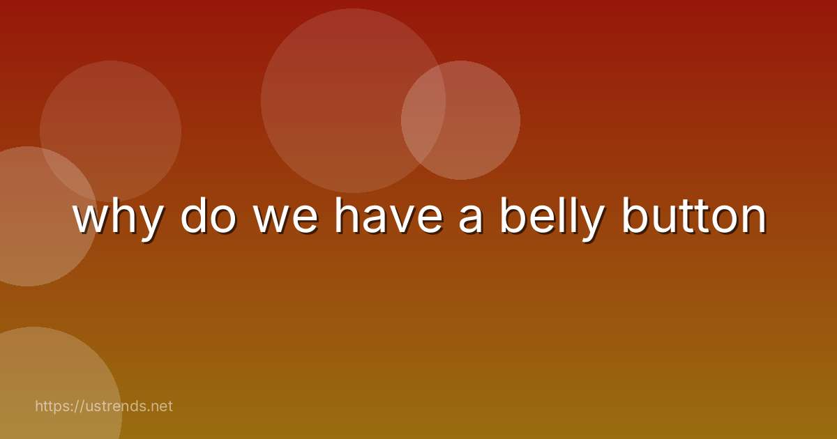 why do we have a belly button