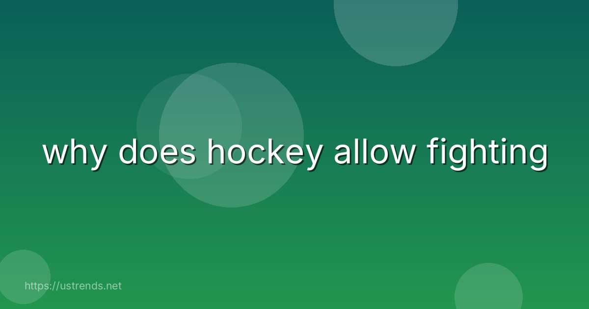 why does hockey allow fighting