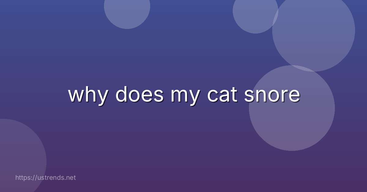 why does my cat snore
