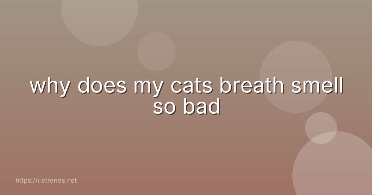 why does my cats breath smell so bad
