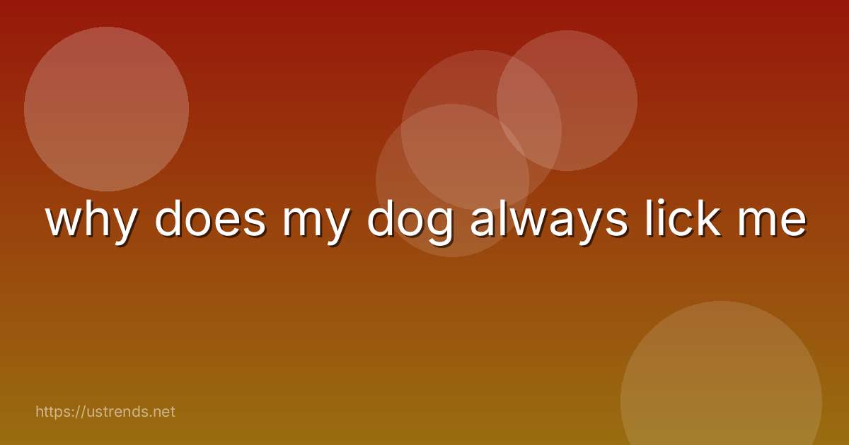 why does my dog always lick me