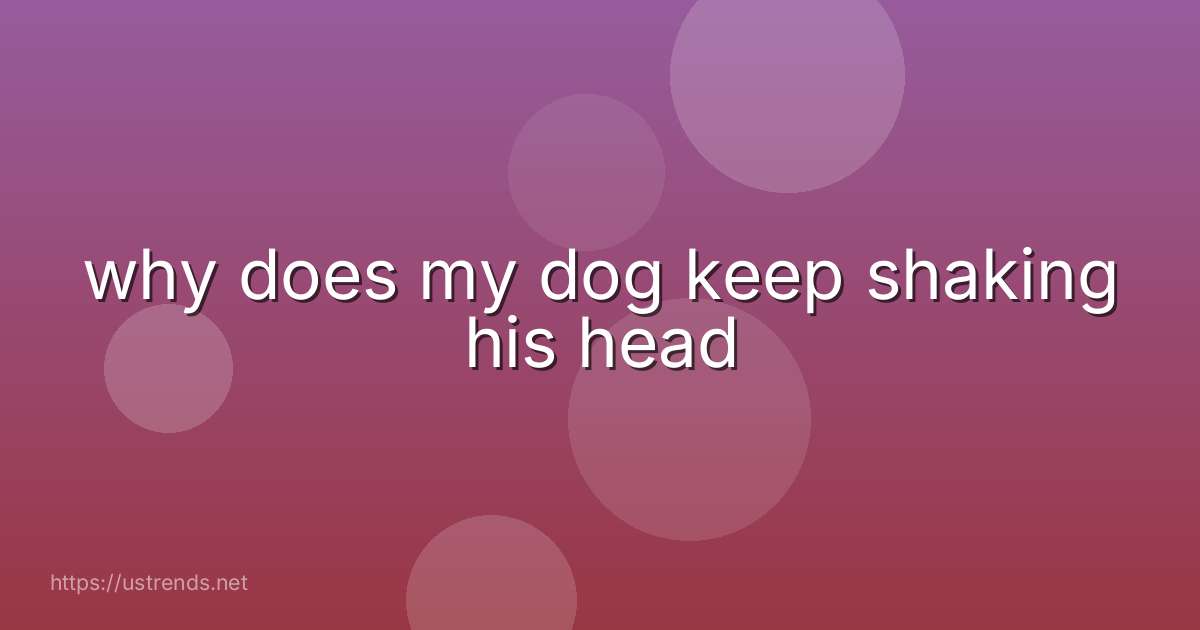 why does my dog keep shaking his head
