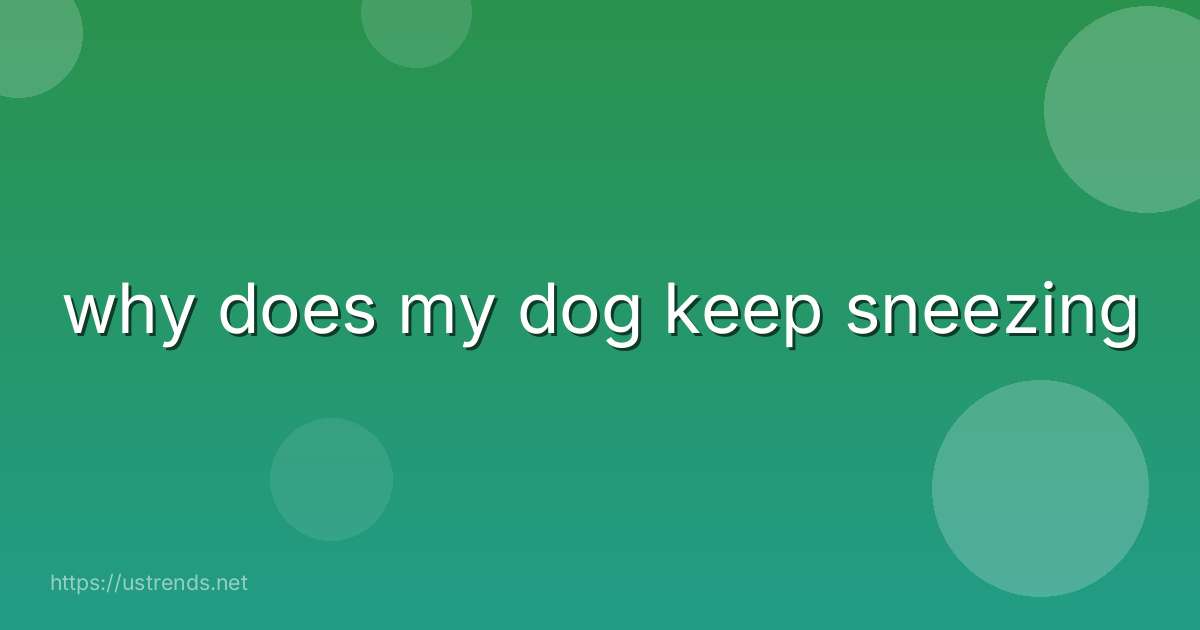 why does my dog keep sneezing