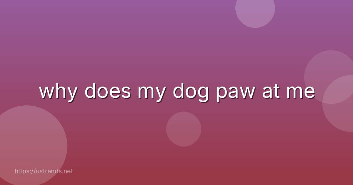 why does my dog paw at me