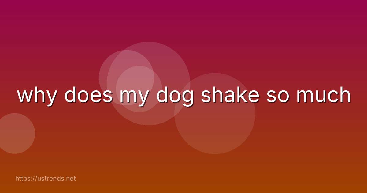 why does my dog shake so much