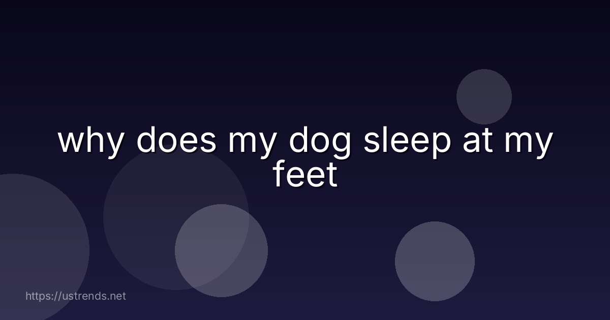 why does my dog sleep at my feet