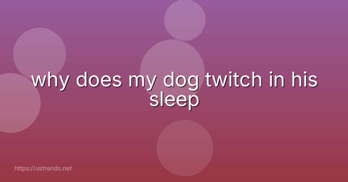 why does my dog twitch in his sleep