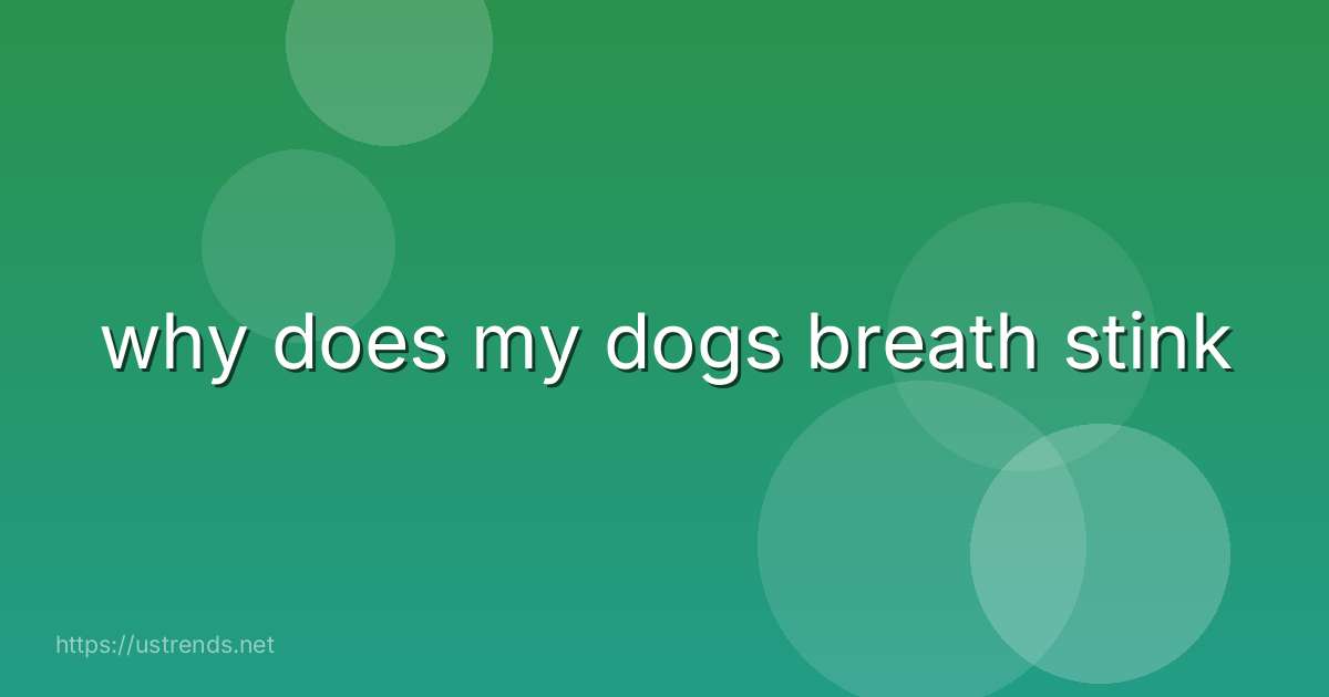 why does my dogs breath stink