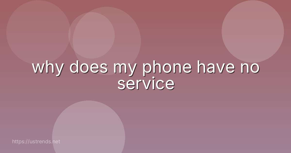 why does my phone have no service