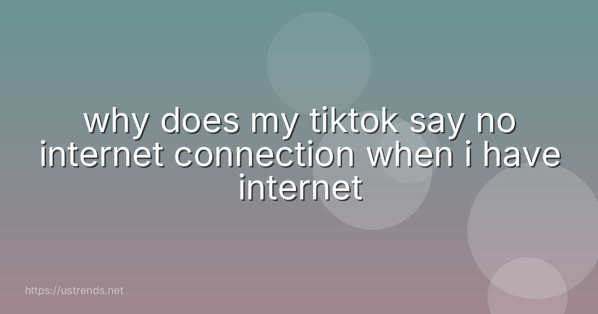 why does my tiktok say no internet connection when i have internet