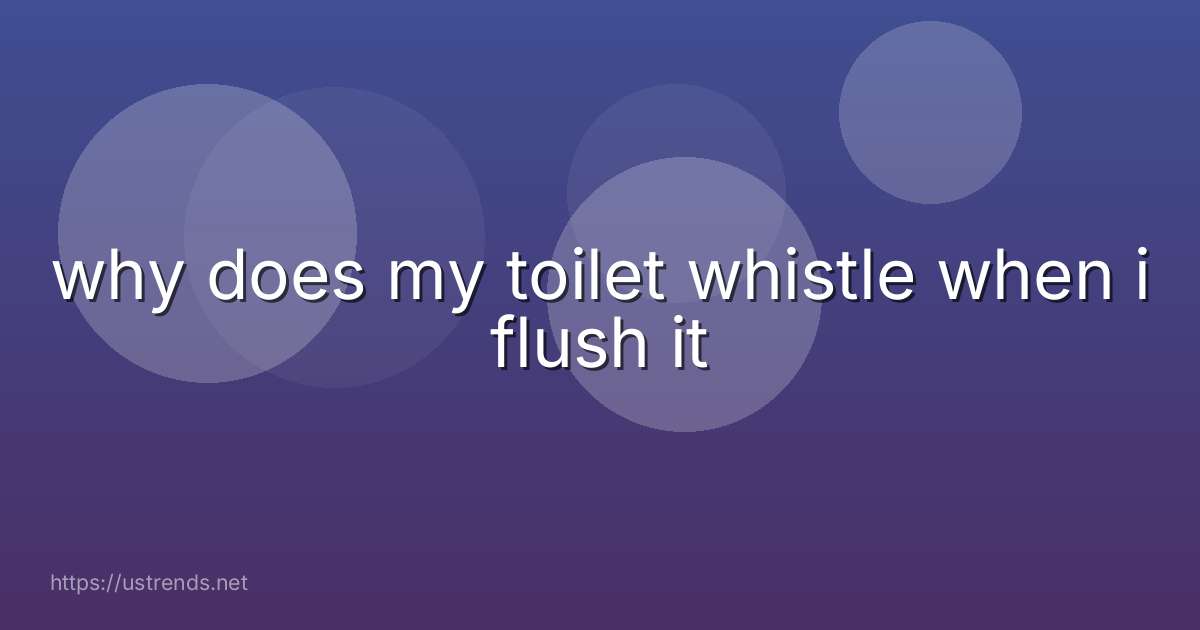 why does my toilet whistle when i flush it