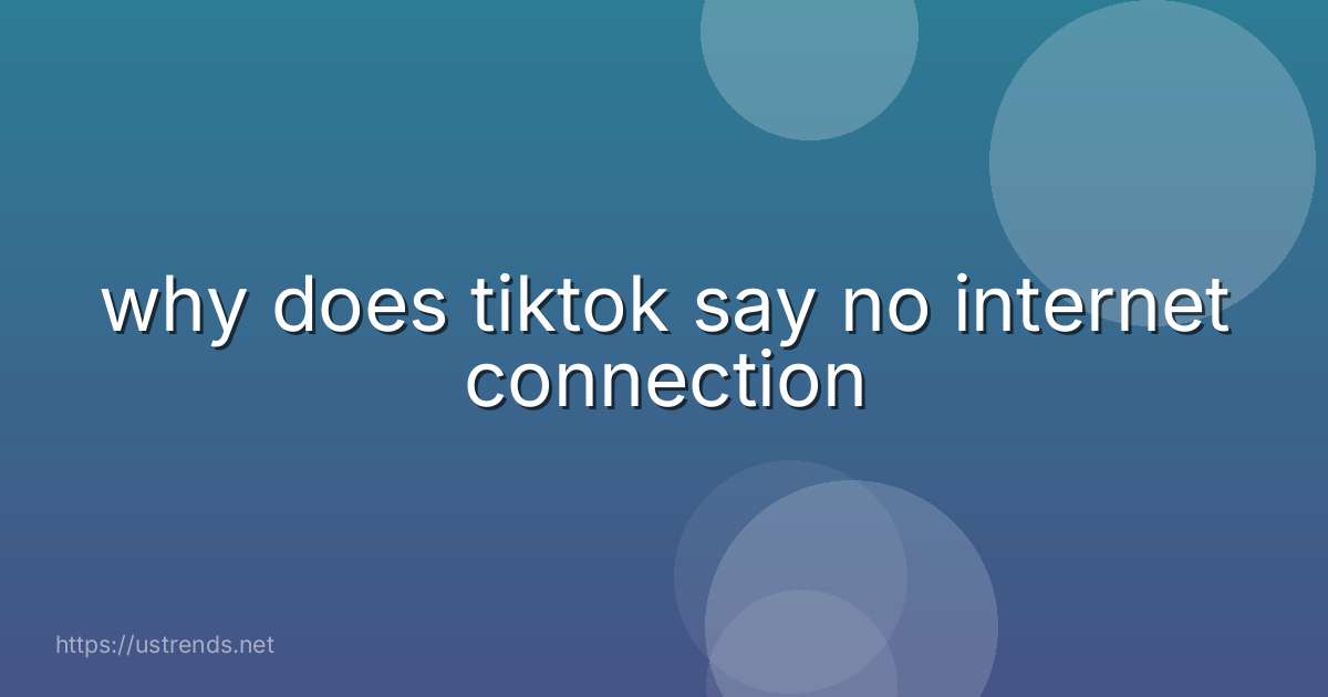 why does tiktok say no internet connection