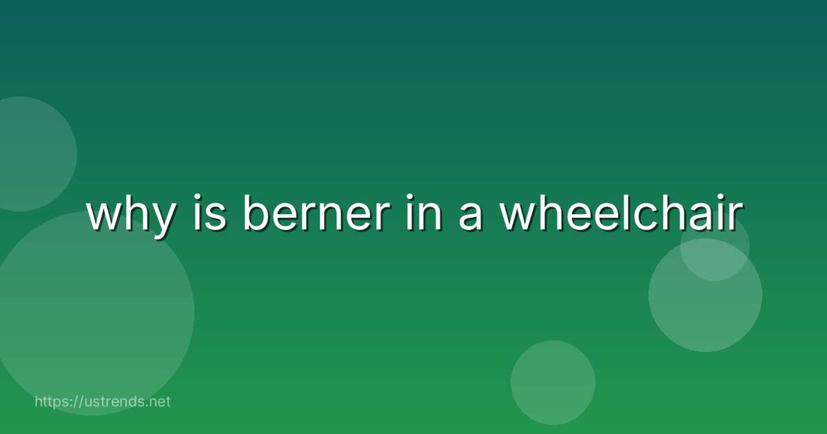 why is berner in a wheelchair