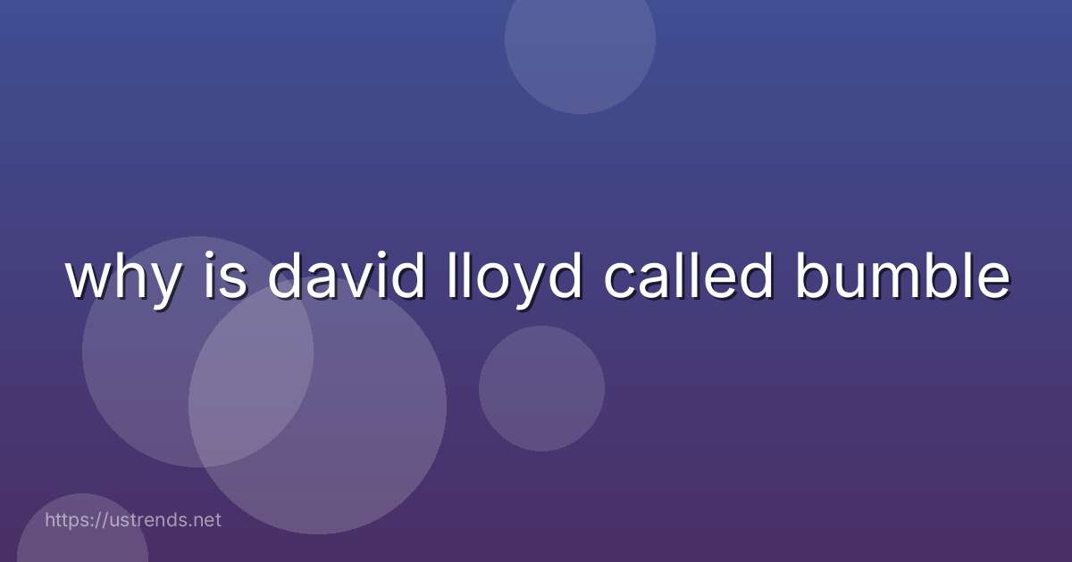 why is david lloyd called bumble