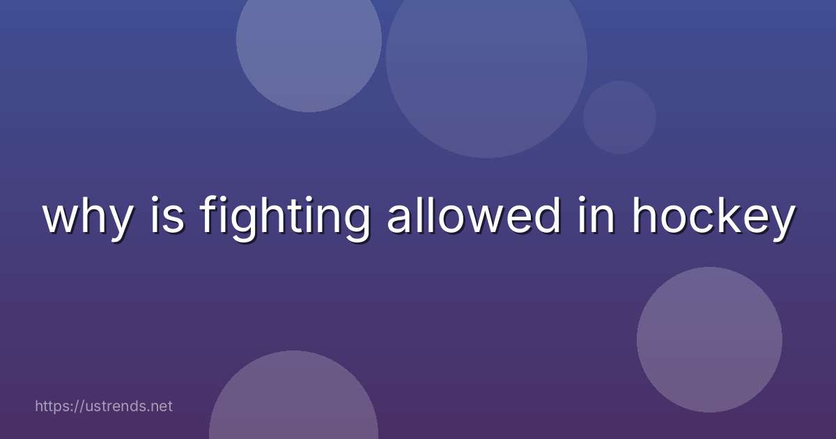 why is fighting allowed in hockey