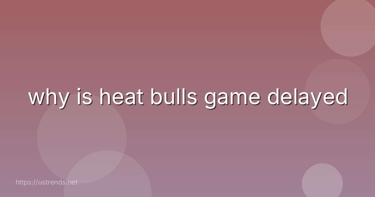 why is heat bulls game delayed