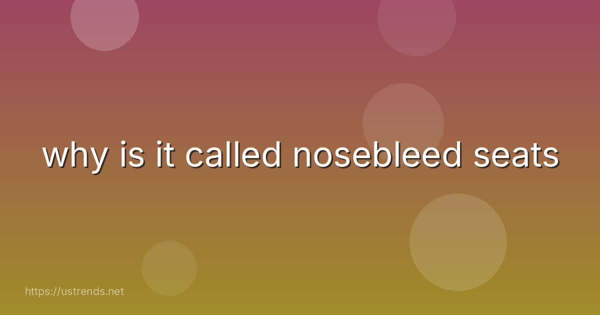 why is it called nosebleed seats