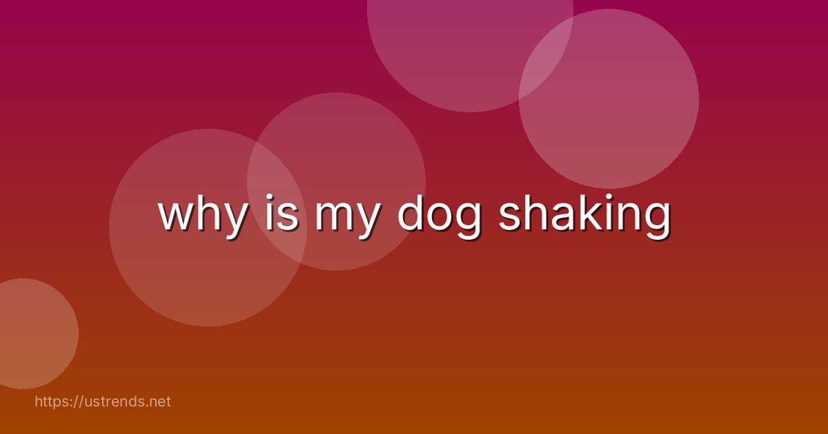 why is my dog shaking