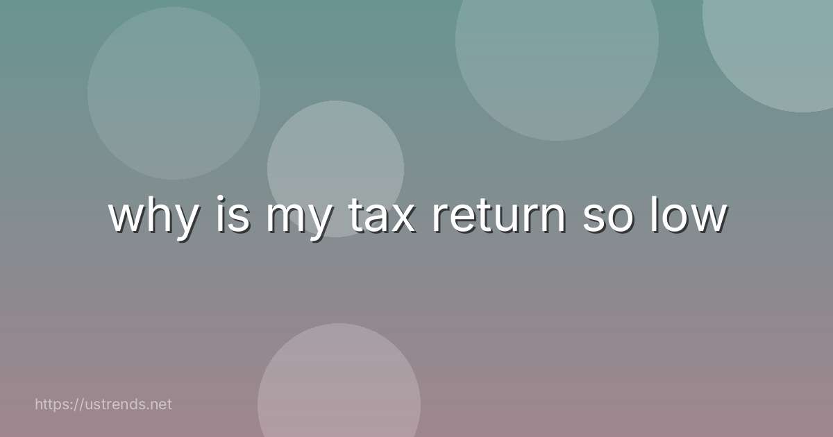why is my tax return so low