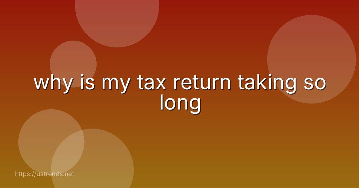 why is my tax return taking so long