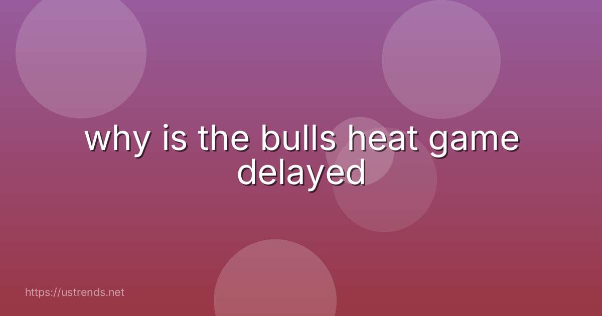 why is the bulls heat game delayed