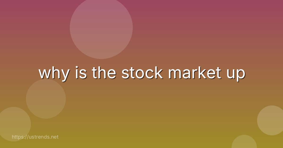 why is the stock market up