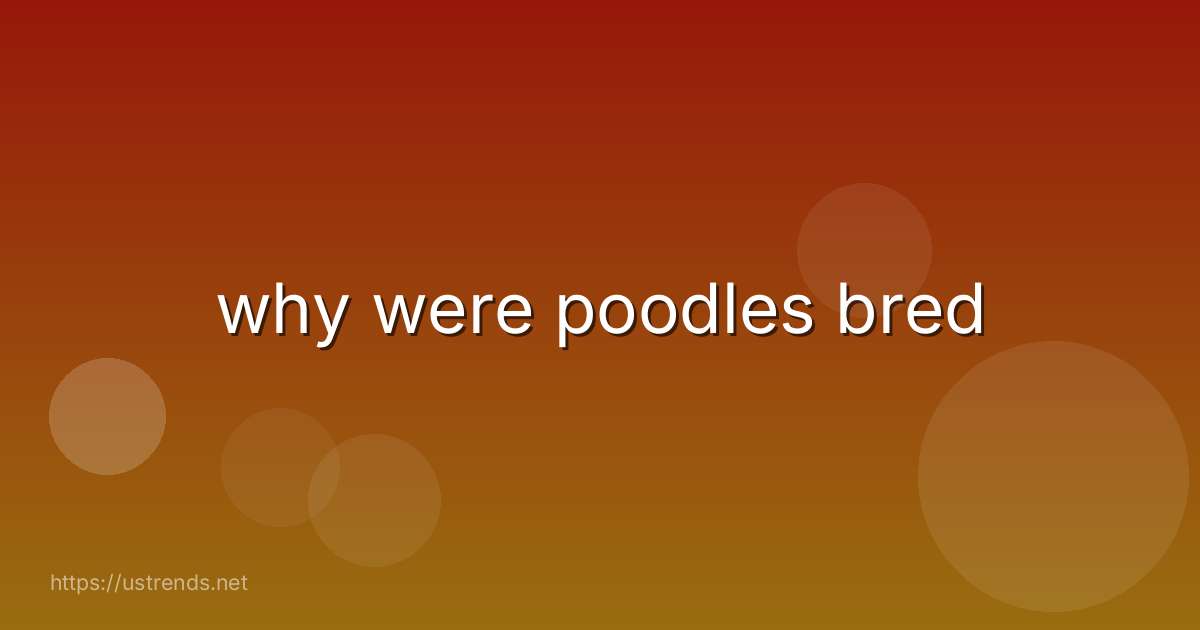 why were poodles bred