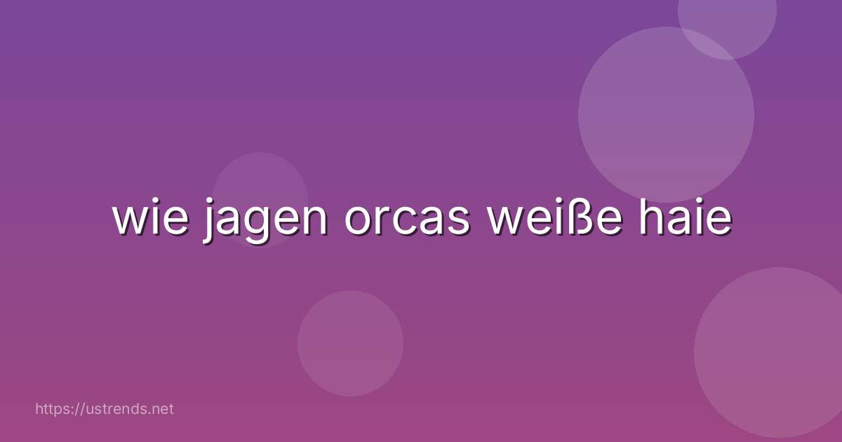 wie jagen orcas weiße haie