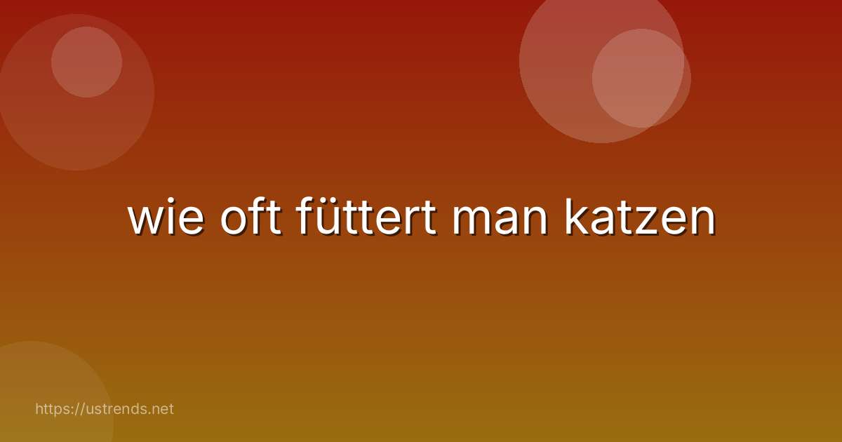 wie oft füttert man katzen