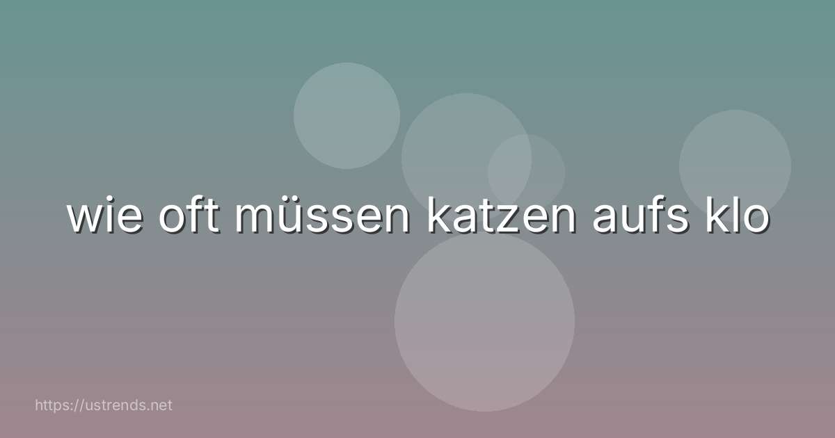 wie oft müssen katzen aufs klo