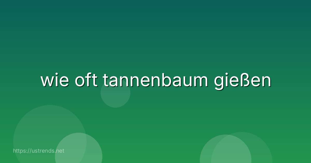 wie oft tannenbaum gießen